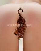 Анкета проститутки Рита - метро Ломоносовский, возраст - 23